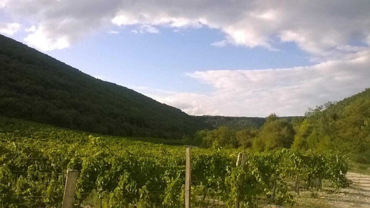 La Dame Blanche Bed and Breakfast Saint-Maurice-dʼIbie Buitenkant foto